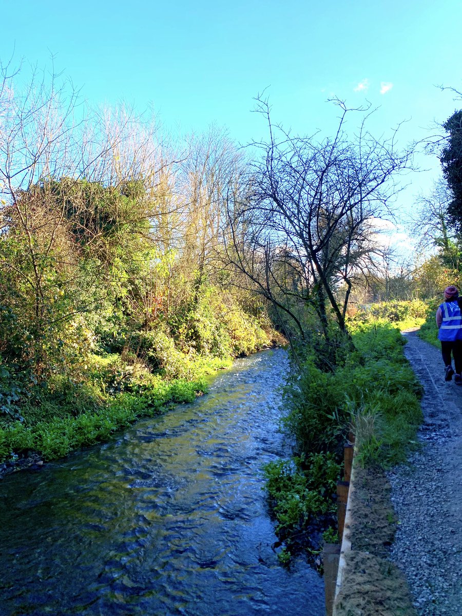 Lee Wood tweet media