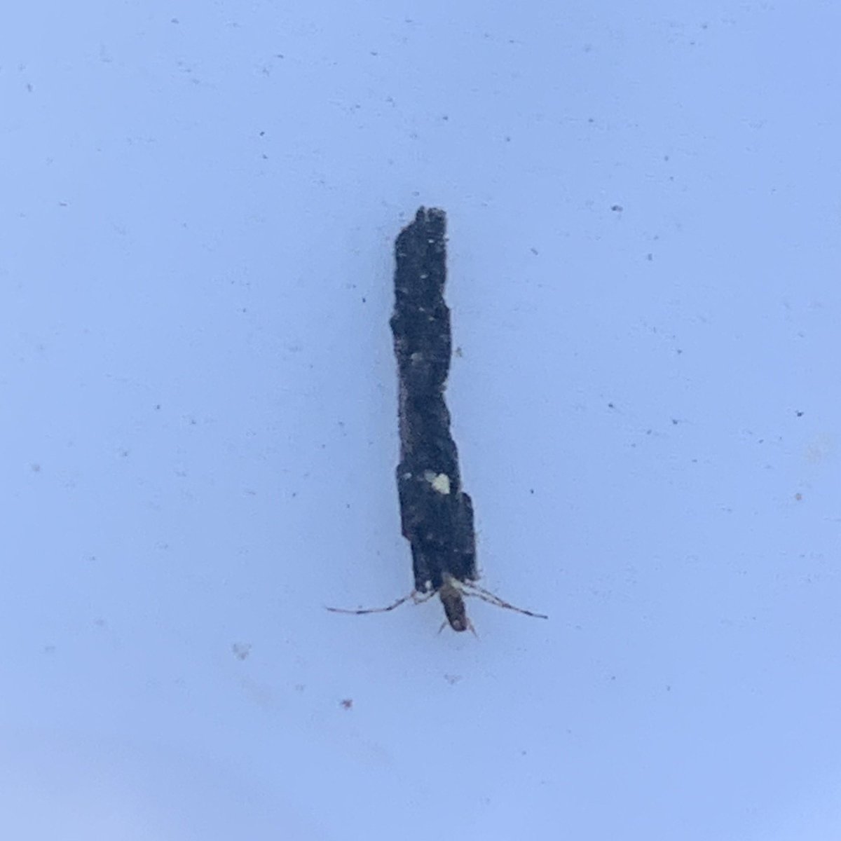 Lee Wood tweet media