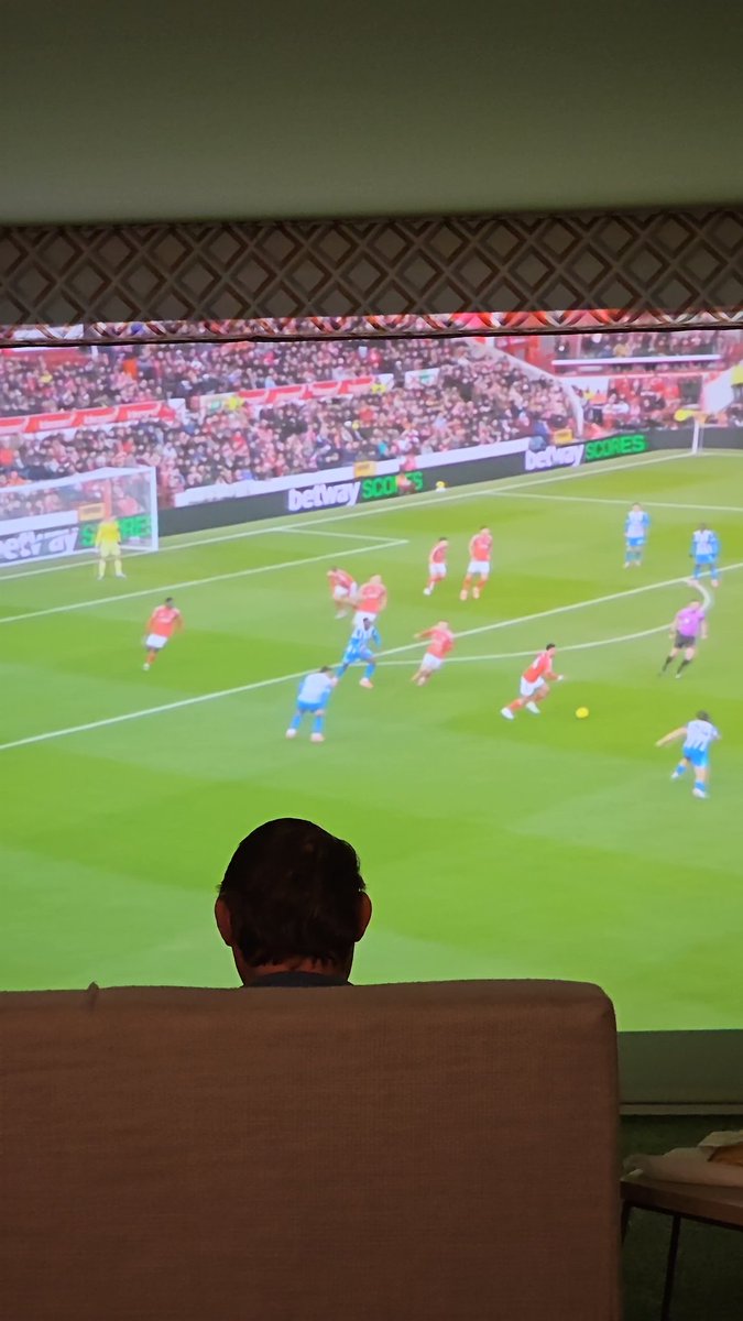 BHAFC-Florida 💙 ⚽️ tweet media