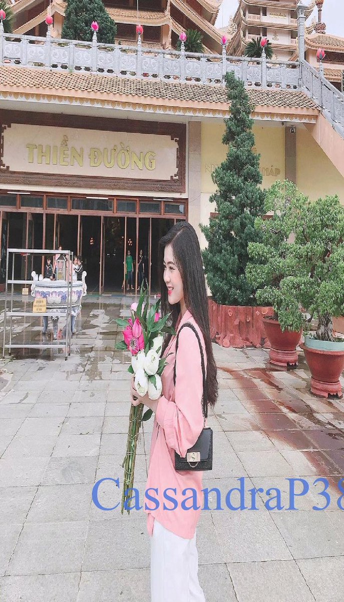 Cassandra Patton tweet media