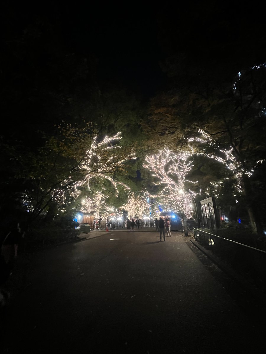 8chyade's tweet photo. おめでとう11月を生きたわたしたち。あっという間に、街がきらめいているね。今年も残り一か月。つい忙しなくなってしまうけど、あたたかくして、ゆっくり休むのも大切に。光に包まれる季節、たくさんの幸せが降り注ぎますように。 https://t.co/P5etBYyUeK