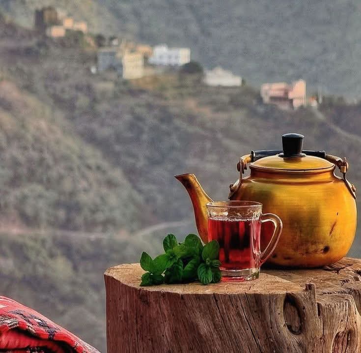 "- من النضج أن تكون شخص ذُو خصوصية ، وألا يعرفك أي شخص أكثر من اللازم ، لأن شعور الندم سيء جدًا، عندما تُتِيح لشخص معرفة كل شيء عنك ويتّضح لك بعد ذلك أنه غير جدير بكل هذهِ الثقة ."
#مساء_الخير  🤍☕