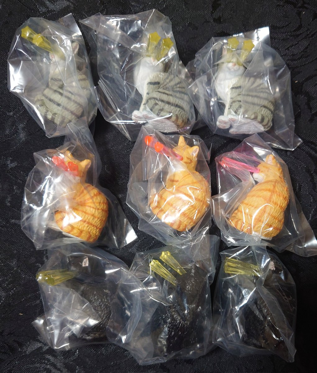 M(取引垢)ツイフィ有/毎週水曜日発送 tweet media