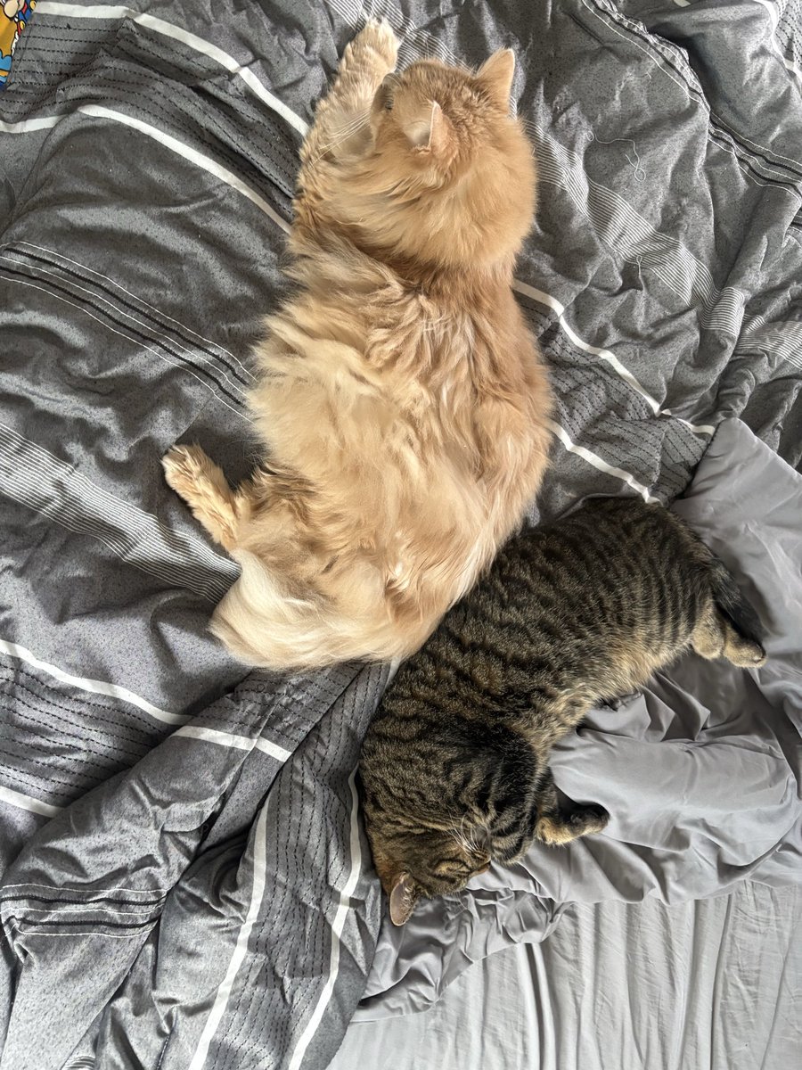 Happy Sunday Funday!