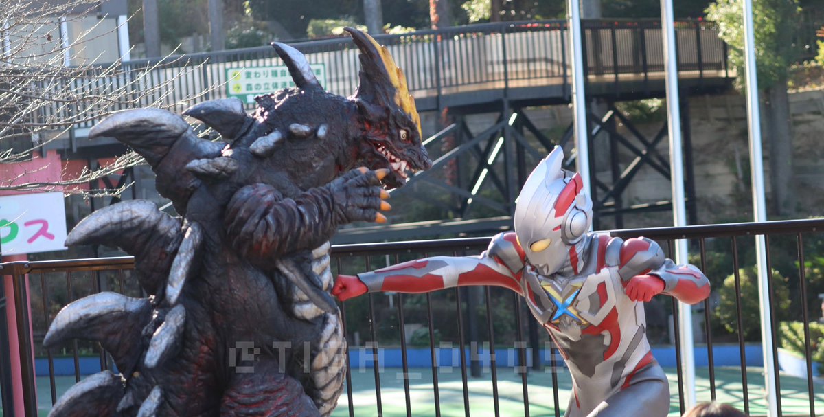 みのるん🧬🌟 (@TIGA_0405) / Posts / X