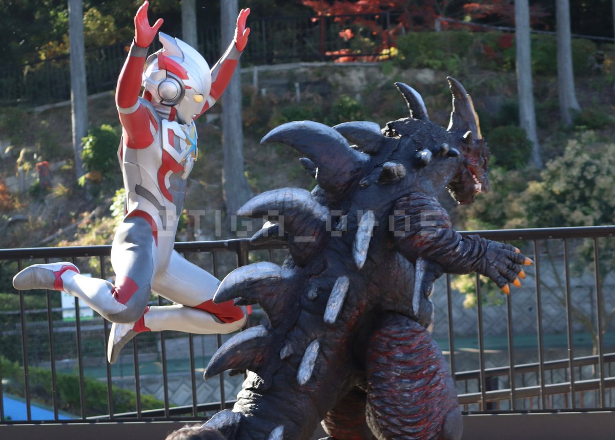 みのるん🧬🌟 (@TIGA_0405) / Posts / X