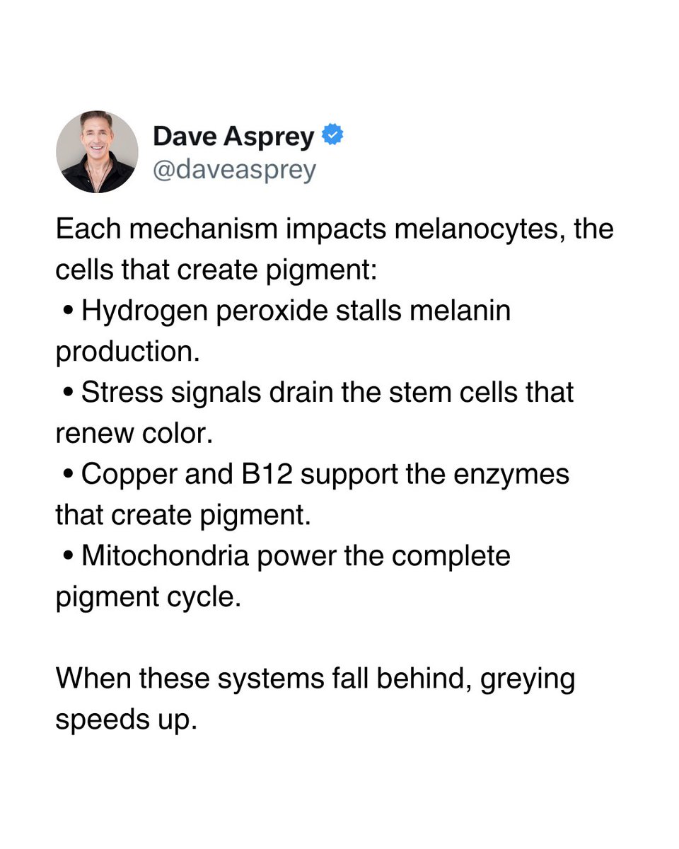 daveasprey's tweet image. Most people think grey hair is “just aging,” but your biology sends the signal long before the color changes. 

Your follicles are smarter than you think. 

Swipe through to see what actually drives greying. 

#Biohacking #Longevity #Mitochondria #AntiAging #DaveAsprey