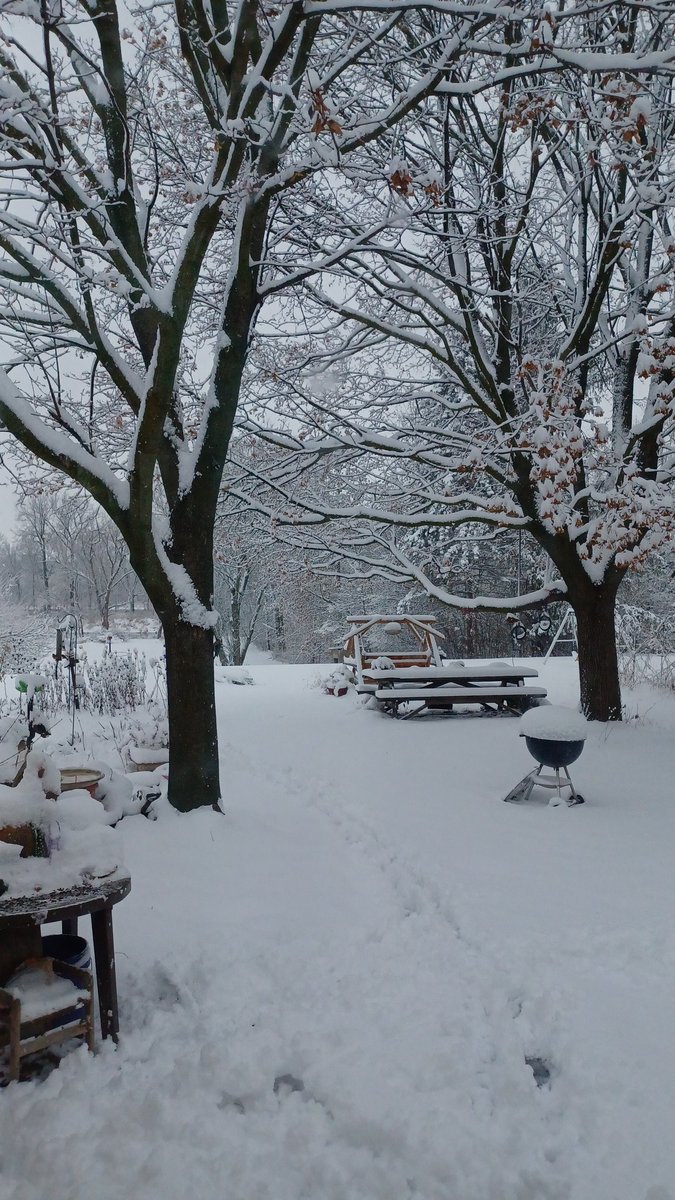 Woke up in a winter wonderland! Michigan weather finally came through for us! Hopefully it stays so we can have a white Christmas! 
#Michigan #wintertime #smowstorm
