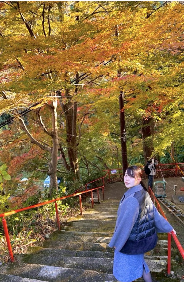 shoko_kawata's tweet photo. 【駅徒歩たった３分で！錦秋の秘境へ。】
京阪石清水八幡宮駅から徒歩わずか３分ほど。五輪塔を通り過ぎ、鳥居をくぐると、杉山谷不動堂さんと神應寺さんに続く木立に入ります。
欝蒼と立ち並ぶ紅葉の木々と清らかな渓流、遙か頭上にはカタカタと音を立て、紅の鉄橋を、これまた深紅と黄金で彩られた美しいケーブルカーが緩やかに走っていきます。

静寂の中に清らかな水の音、鳥の声、絶え間なく舞う落ち葉の光。日常の中に心が洗われるようなひとときです。

紅葉も殊更に絶景ですが、一年のうちいつ来ていただいても心洗われるエリアではないかと思います。
賑やかな街中からほんの少し、寄り道していきませんか？
八幡の紅葉はまだ少し見頃が続きます。
是非一度、お越しください😊

#八幡市 #紅葉スポット #神應寺 #杉山谷不動尊