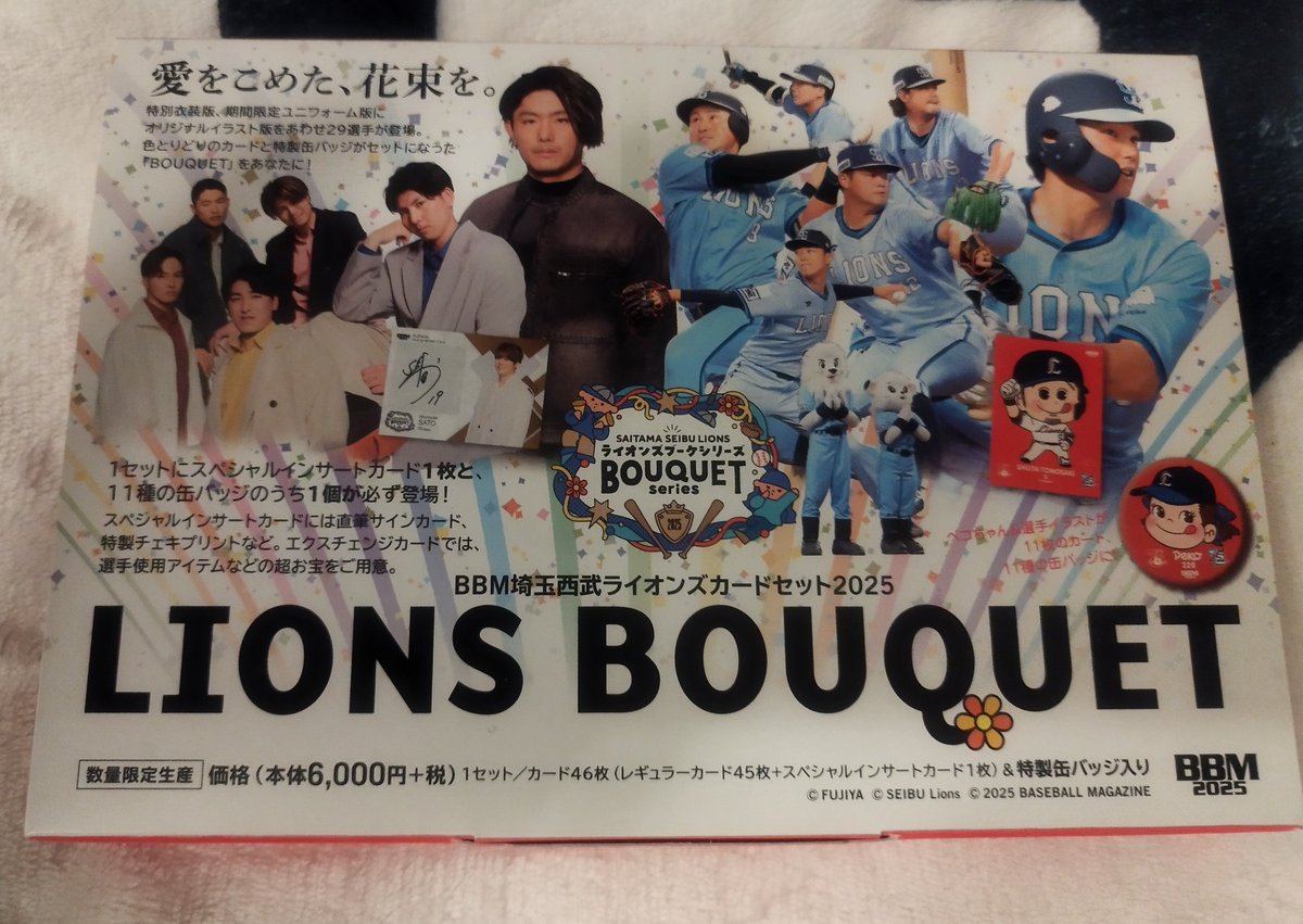 滝澤×隅田BBM 2025 LIONS BOUQUET プリントチェキ BBM 2025 埼玉西武