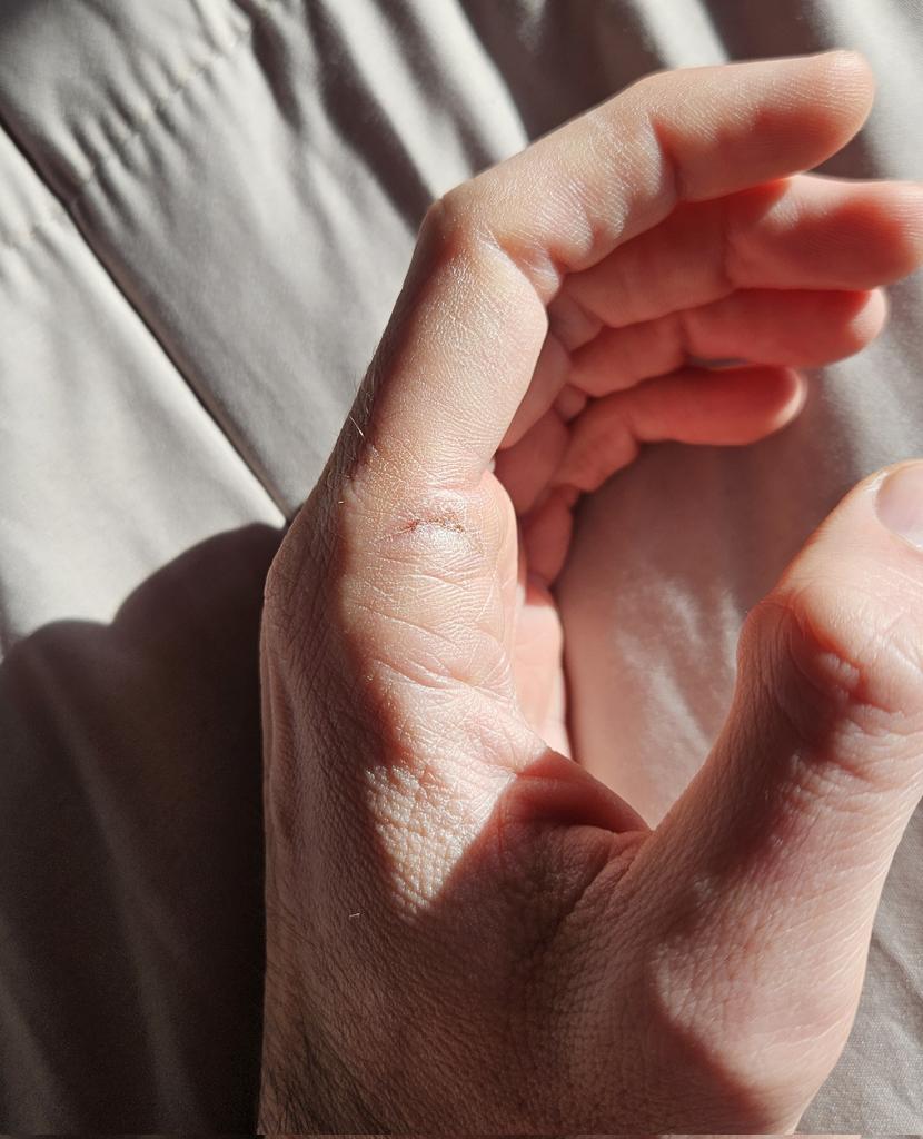 Ramón Teleco tweet media