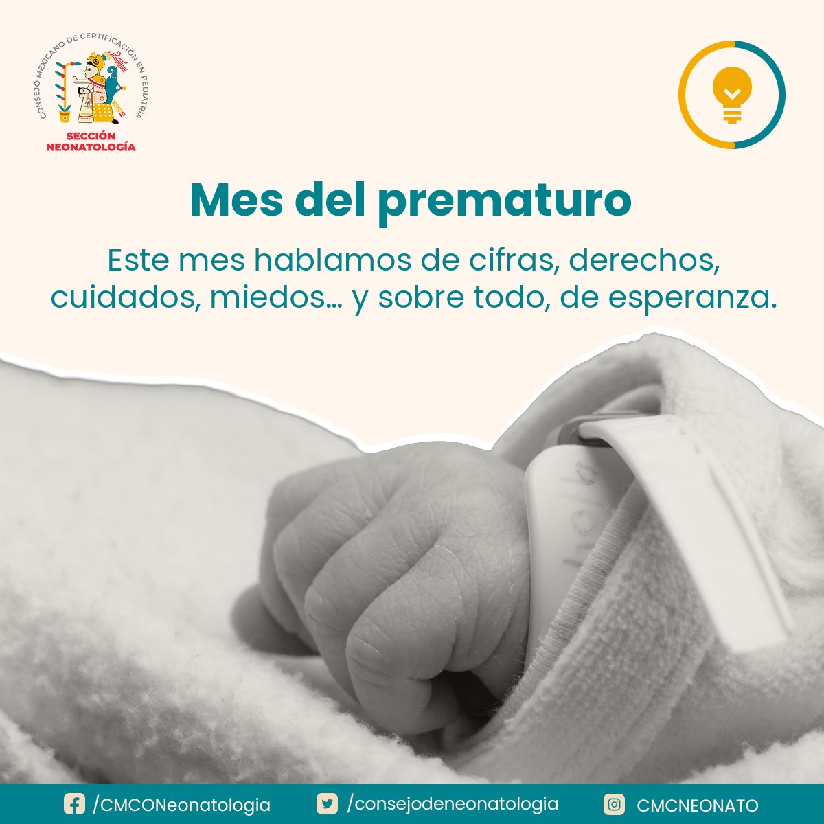 Este mes hablamos de cifras, derechos, cuidados, miedos… y sobre todo, de esperanza.
Gracias a quienes cuidan, a quienes enseñan, a quienes no bajan los brazos.
Que noviembre se termine, pero que el compromiso continúe.
#PrematurezTodoElAño #Neonatología #CuidarEsActuar