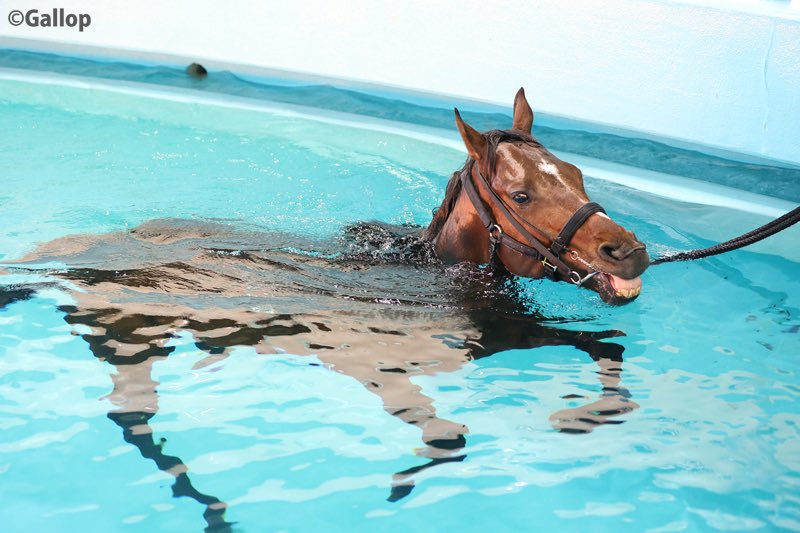 yokoshimanaruko's tweet image. 庭の湯のバーデプールでひたすら歩行浴したんだけどやってるときずっと頭の中これだった