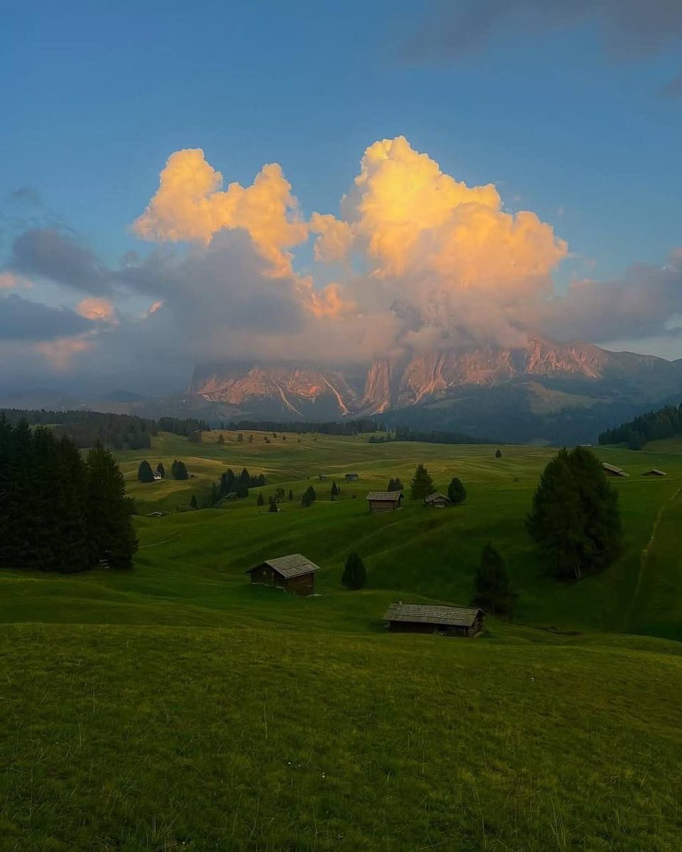 aeonianyou's tweet image. 