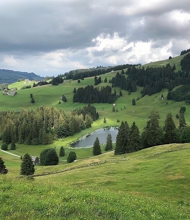 aeonianyou's tweet image. 