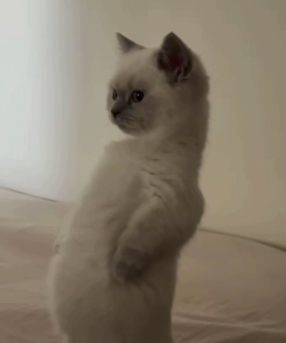 pavelphoom's tweet image. เทอว่าไง 55555