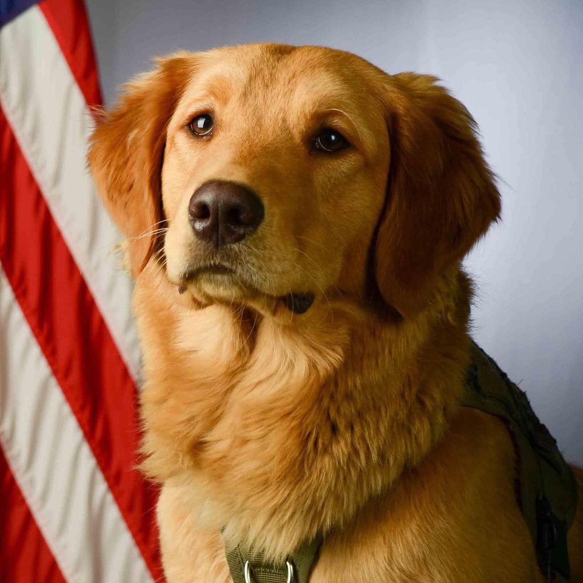 Spectre437's tweet photo. @GuntherEagleman Koda! 139th AW, St Joseph, MO https://t.co/sRdKFBZbWk