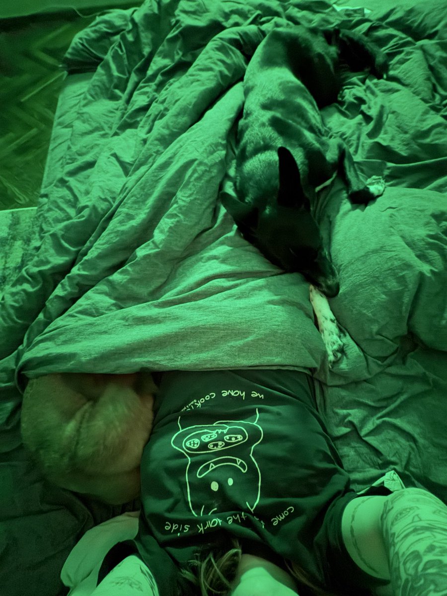 Отак собачками обкладайтесь – і спина боліти не буде