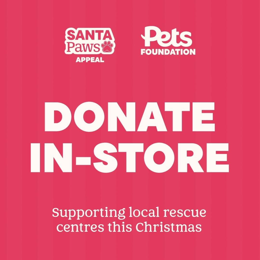 AnimalsInNeedUK's tweet image. We’re participating in the Pets Foundation’s Santa Paws Appeal! We’re being supported by Pets at Home store in Corby, Kett &amp;amp; Wellingborough. Visit between 1st and 24th Dec to support us, donate, and meet some of our lovely fundraisers! @petsfoundationuk @PetsatHome  #santapaws