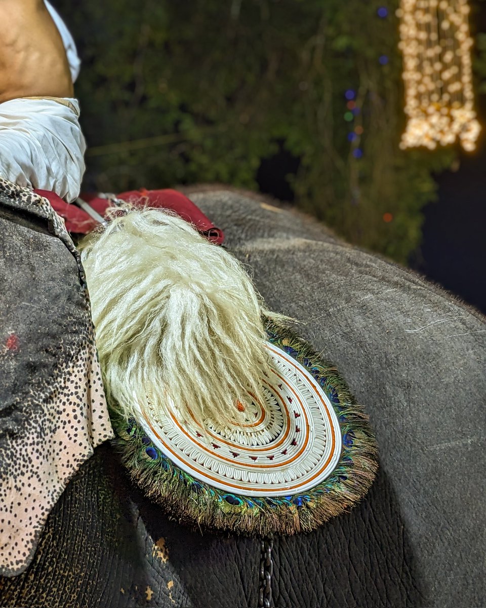 Arjun37680793's tweet image. Festive