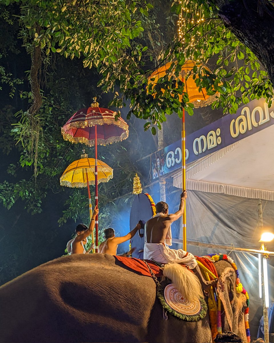 Arjun37680793's tweet image. Festive