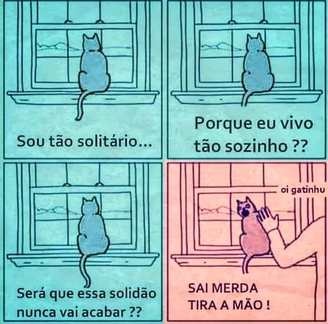 5gramasdememes's tweet photo. 🌟 https://t.co/VtVLkHDuux