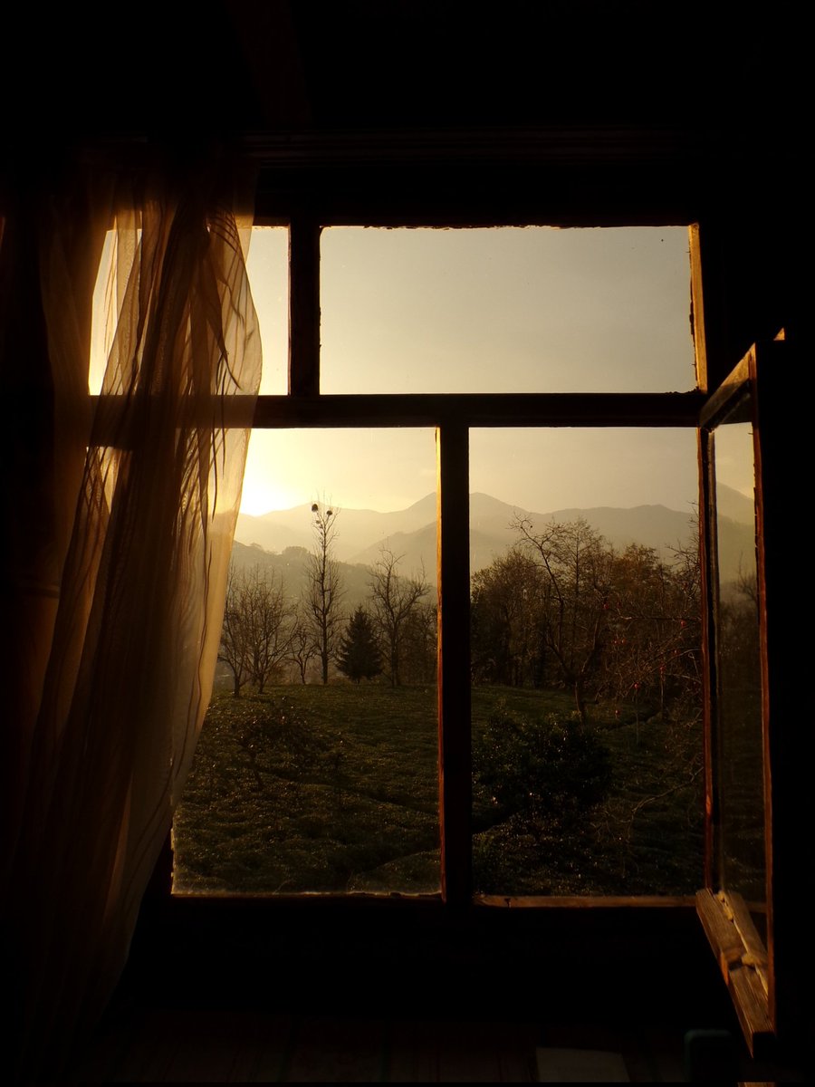 thtrainwreck's tweet image. sunset in my village