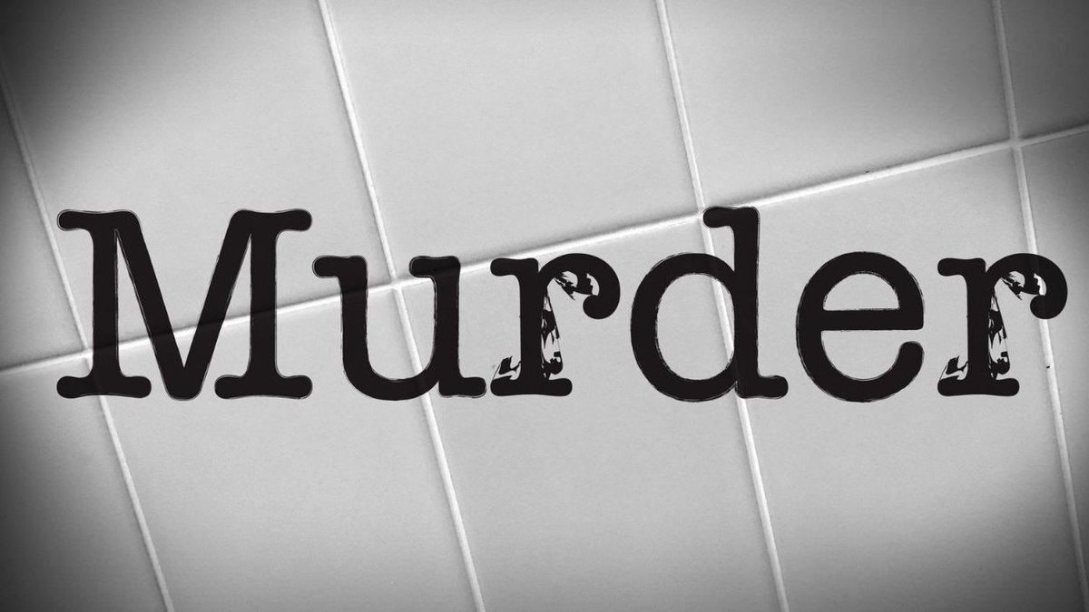 fritzinmo's tweet image. Instead of being rescued, @PeteHegseth ordered the @USNavy to return and kill everyone that survived a missile attack upon their vessel.