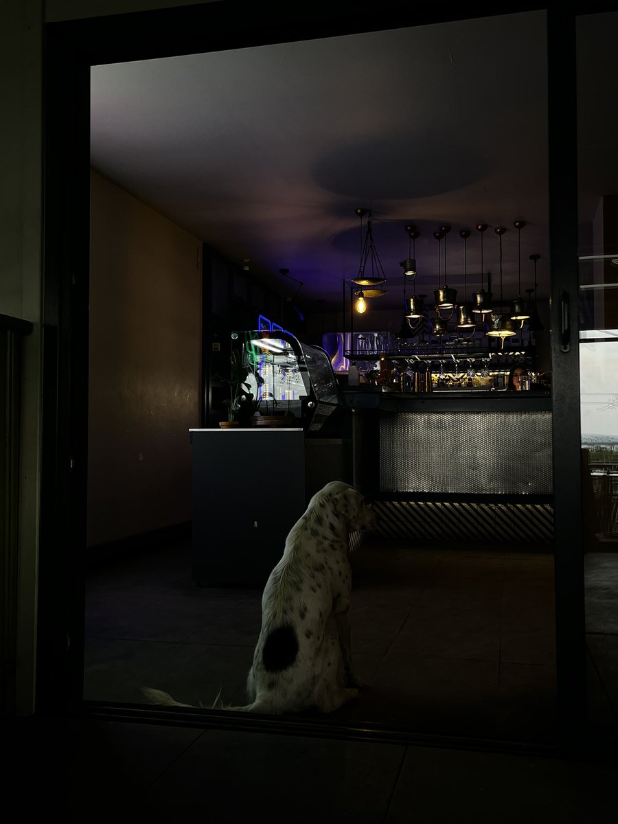 Sıcak şarap bekliyoruz