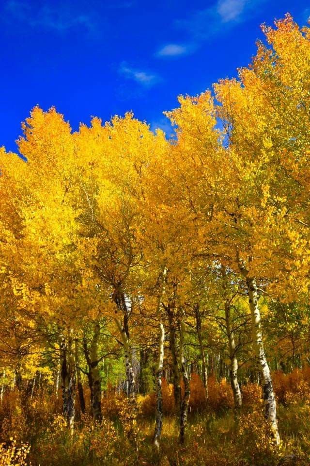 mfarooqbukhsh's tweet image. Monday mornings in December are for fresh starts, cozy vibes, and chasing dreams before the year ends. 🌟💙🧡

#MondayMotivation #DECEMBER 
#MondayVibes