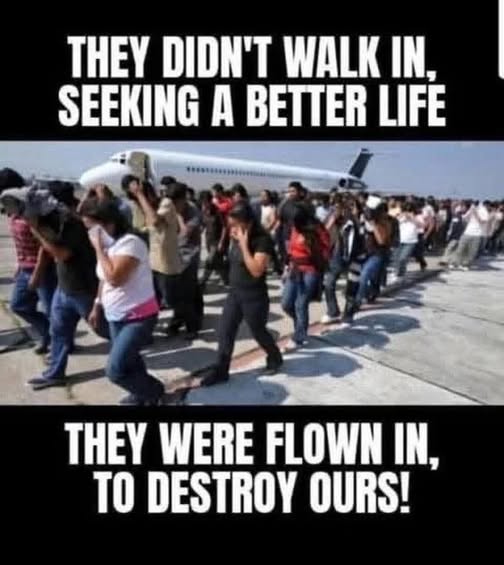 SaltyGoat17's tweet image. You can thank Democrats for this!!