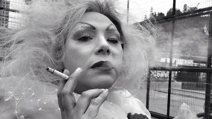 Priz 🦕 tweet media