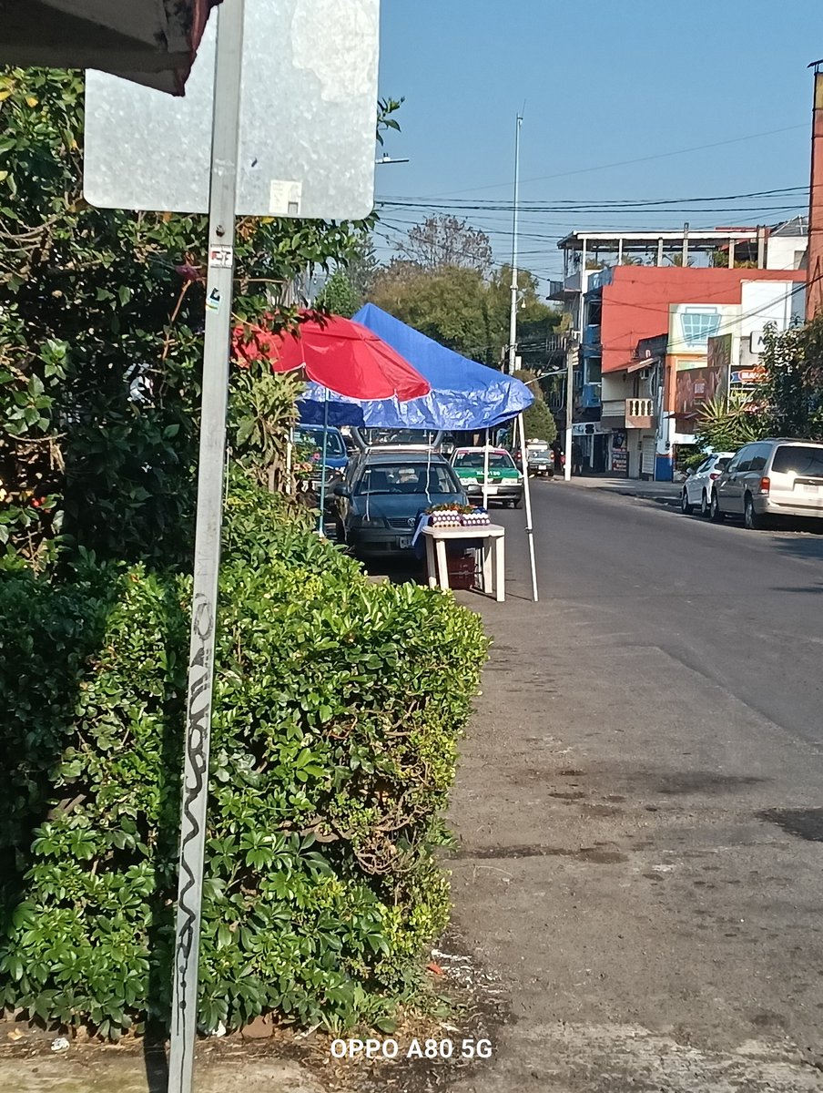 ALBERTOGSEDAS's tweet image. Atención 🚨🚨 @AytoXalapa  hasta donde está permitido el uso de las vialidades para el comercio en vialidades primarias cómo es la av.28 de Agosto?
#Xalapa 
#apartalugares 
#comercioabusivo