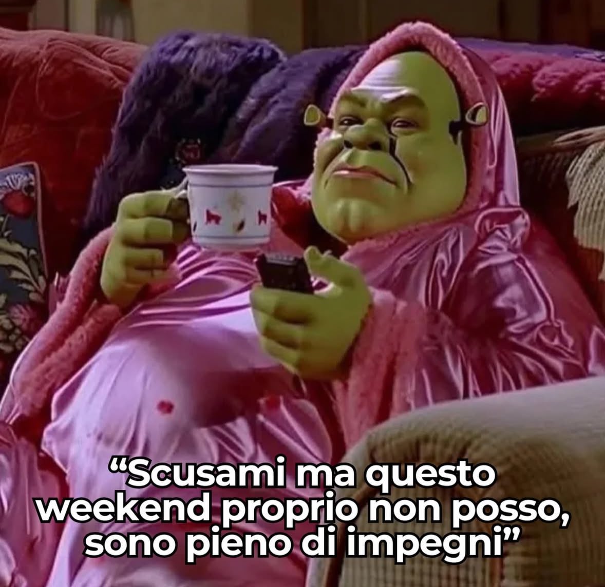 theunknovn's tweet image. situazione attuale