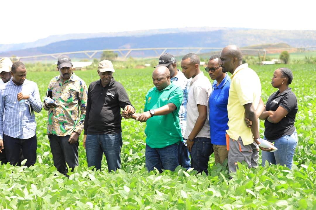 RICA_Rwanda's tweet photo. This week, RICA organized training sessions on Conservation Agriculture (CA) and Good Agricultural Practices for agronomists from @KireheDistrict  and @BugeseraDistr. Through field demonstrations, farmer visits, and interactive meetings, district and sector agronomists enhanced their knowledge and practical skills to more effectively support farmers in implementing CA.