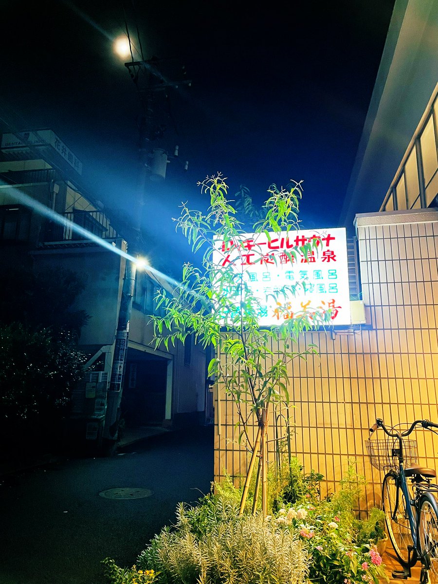 サチコ (@Kow9Kf) / Posts / X