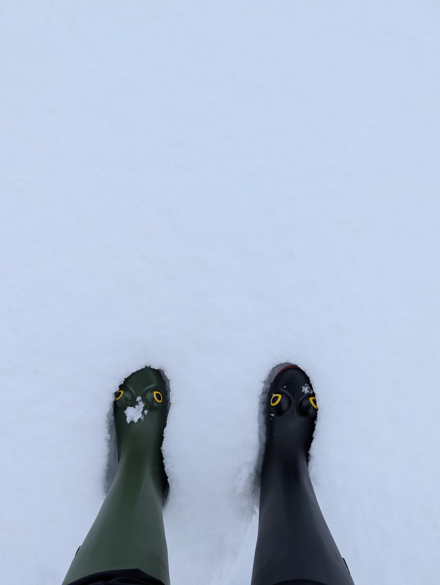 Good morning. 🐸

Just FYI we will be doing some more <a href="/playrust/">Rust</a> x <a href="/KickStreaming/">KICK</a> general drops for the holidays!

Keep your earballs peeled.