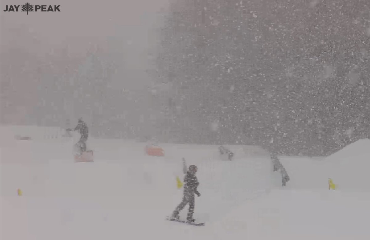 Tim Kelley tweet media