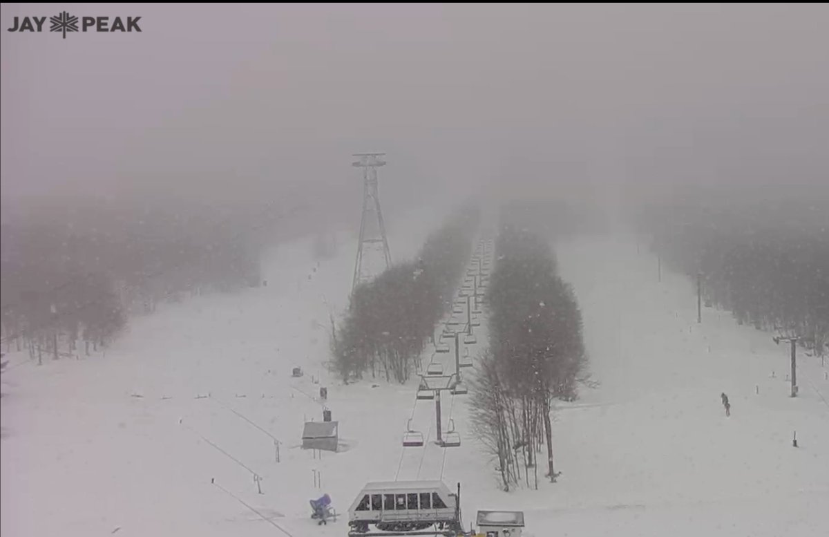 Tim Kelley tweet media