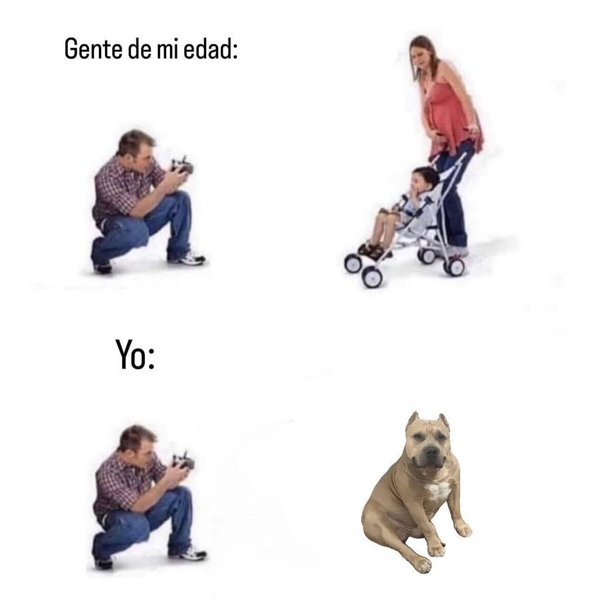 Dilo con perritos tweet media