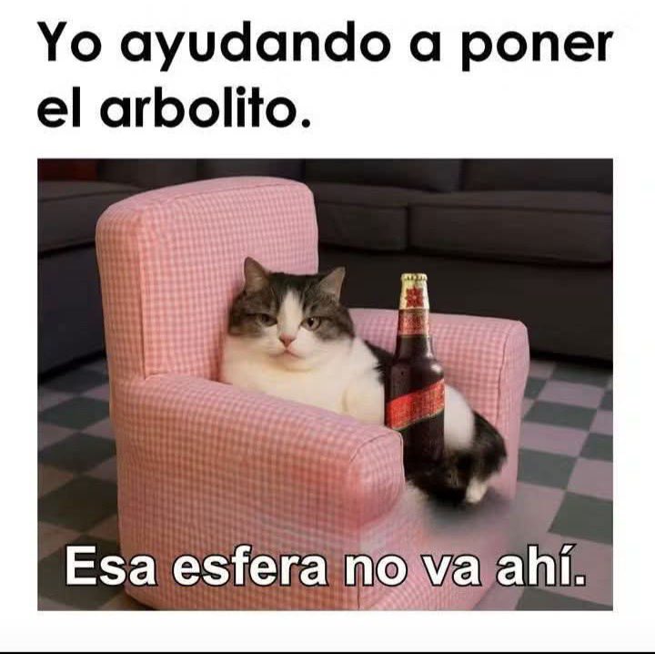 vanesajim3nz's tweet image. Mi humilde opinión