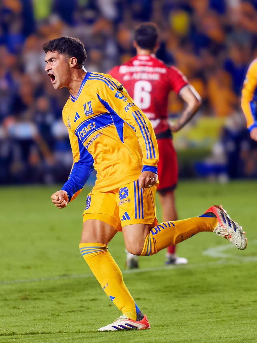 eldanielaguilar's tweet photo. Que noche la de anoche 🌋🐯😮‍💨 @TigresOficial https://t.co/wgcEr5TMyO