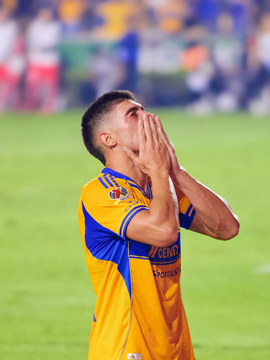 eldanielaguilar's tweet photo. Que noche la de anoche 🌋🐯😮‍💨 @TigresOficial https://t.co/wgcEr5TMyO