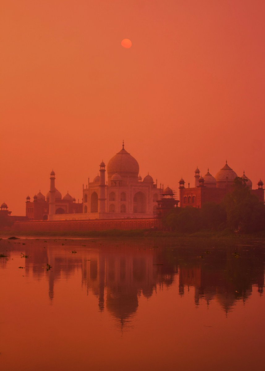 archittsharmaaa's tweet image. gold rush