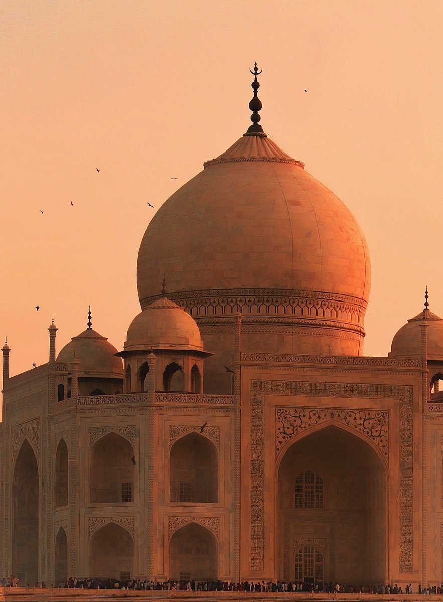 archittsharmaaa's tweet image. gold rush