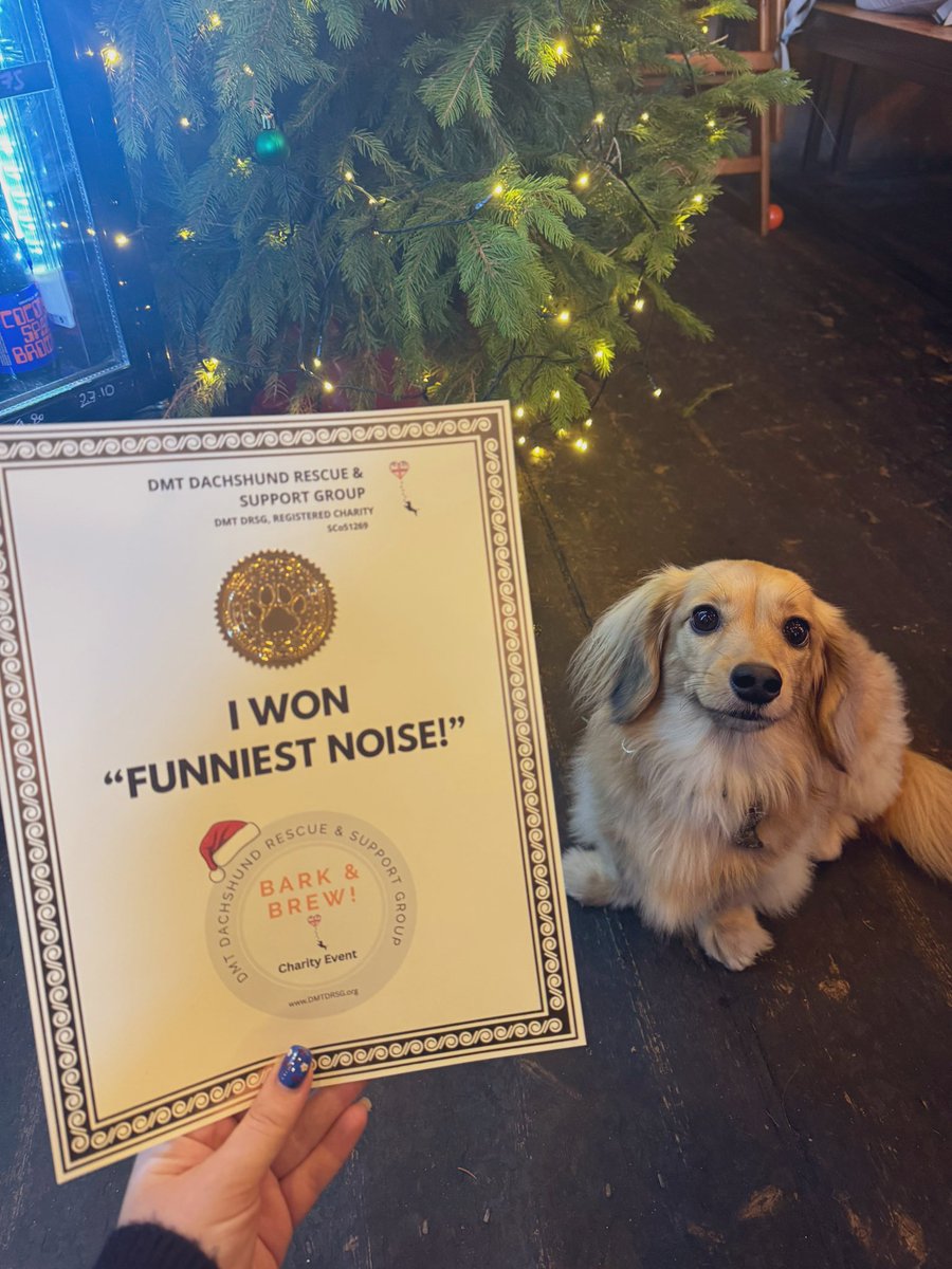 poopernoodle's tweet image. my girl won an award today for barking at literally everyone even Santa