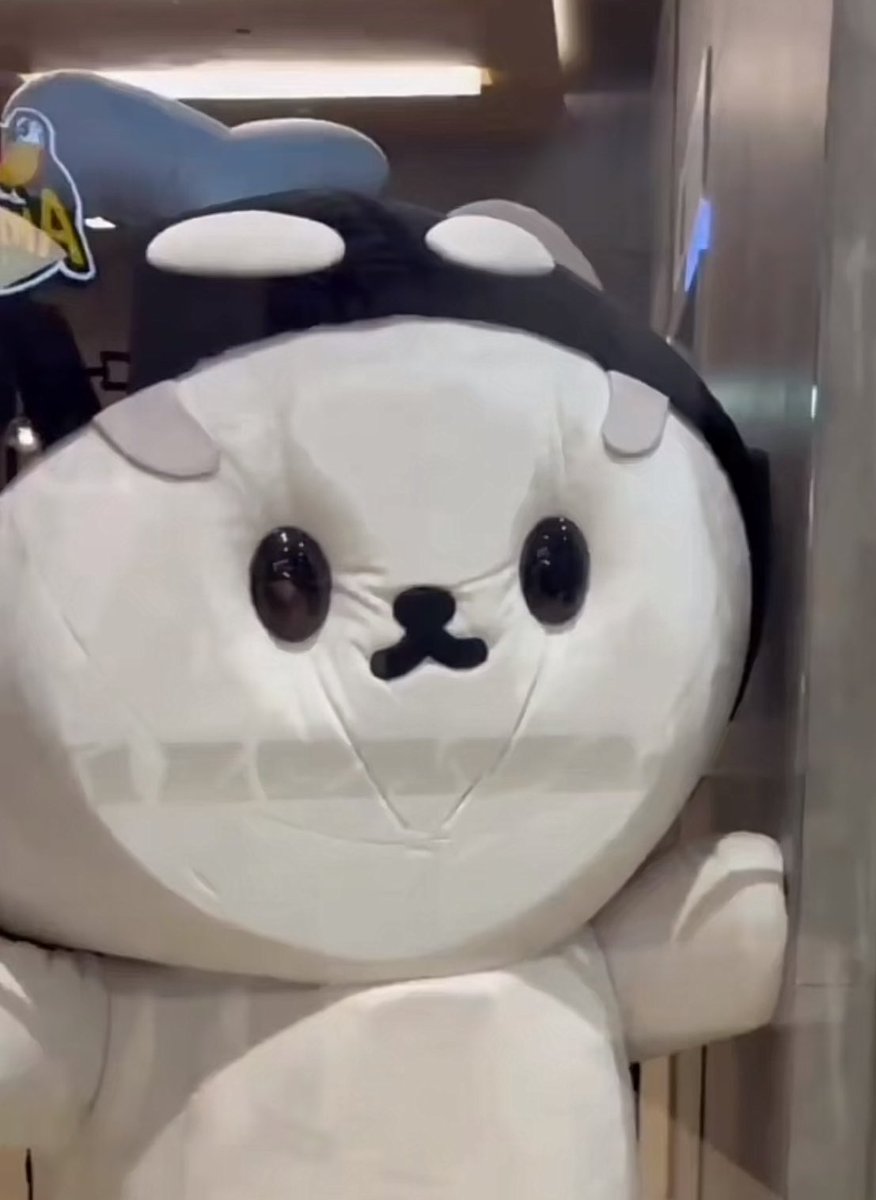 nathuhiqx's tweet image. &apos;ลูกกับหิน เลือกใครคะ&apos;
&apos;หิน&apos;

ลูก aka ยัยซัง: