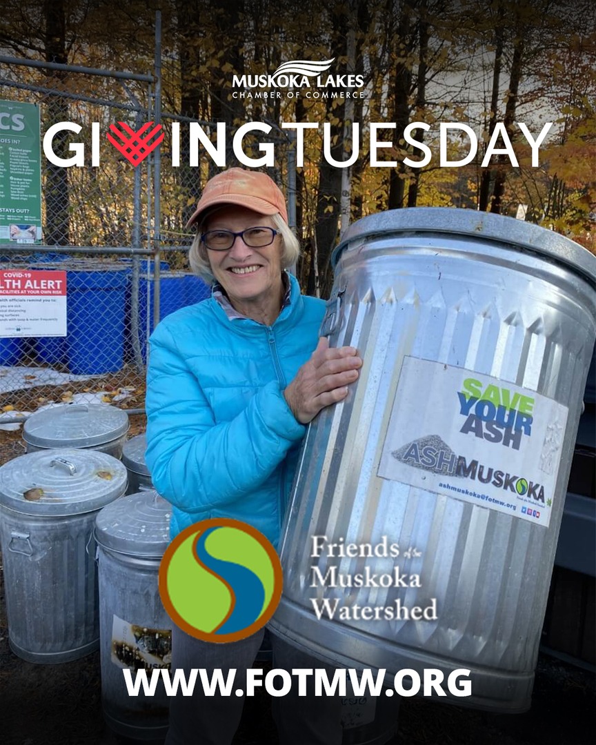 Did you know you can help, Friends of the Muskoka Watershed protect Muskoka’s forests, wildlife, and environment through science-based action. Donate here: fotmw.org