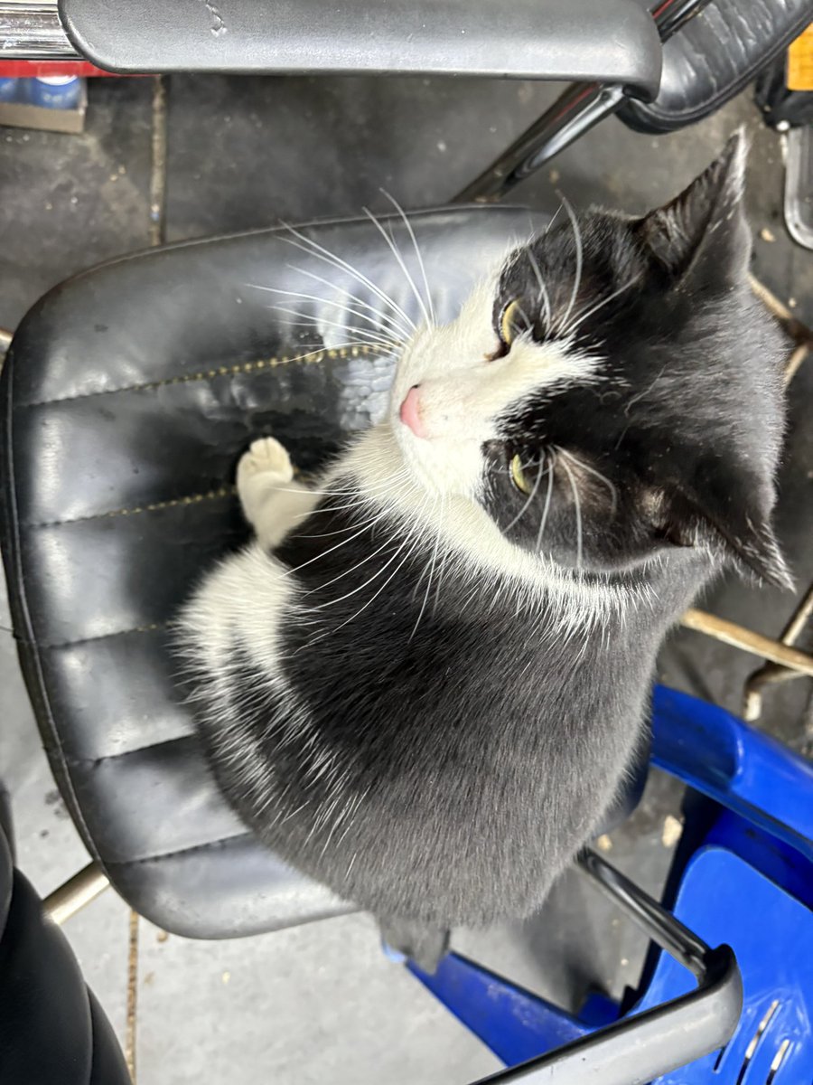 게이버맵 예상 도보 시간 느려도 너무 느리지 않나. 고양이 걸음 기준인가.
슬로우 러닝이 트렌드인지 아까 내 바로 뒤를 뜀박질 소리가 쫓는데 난 걷고 있었고 대결할 맘 없는데 족히 500m는 추월을 않고 바짝, 숨 넘어갈 뻔. 어서 추월 좀 해요 제발!