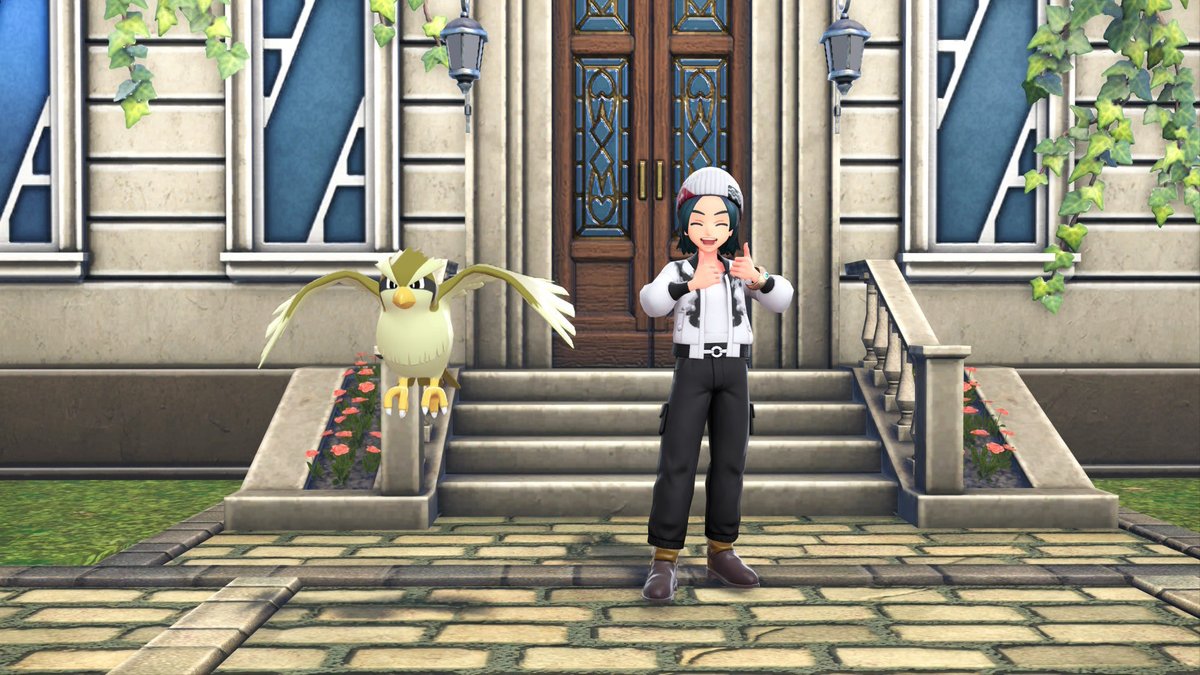 初めての色違いはポッポでした